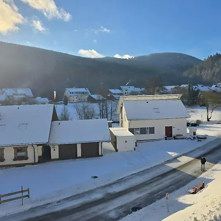 Lejlighed Rueckzugsort Mit Bergblick In Baiersbronn-obertal - Beheizter Wintergarten & Kostenfreier Parkplatz - 70qm Baiersbronn