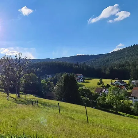 Rueckzugsort Mit Bergblick In Baiersbronn-obertal - Beheizter Wintergarten & Kostenfreier Parkplatz - 70qm