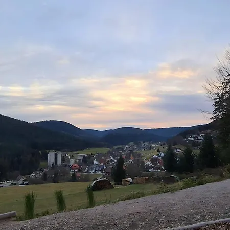 Rueckzugsort Mit Bergblick In Baiersbronn-obertal - Beheizter Wintergarten & Kostenfreier Parkplatz - 70qm Lejlighed