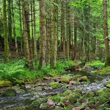 Rueckzugsort Mit Bergblick In Baiersbronn-obertal - Beheizter Wintergarten & Kostenfreier Parkplatz - 70qm Apartman *