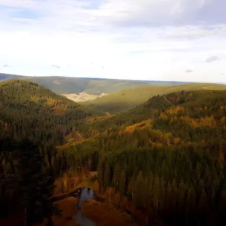 Rueckzugsort Mit Bergblick In Baiersbronn-obertal - Beheizter Wintergarten & Kostenfreier Parkplatz - 70qm Διαμέρισμα *