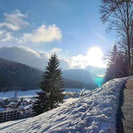 Διαμέρισμα Rueckzugsort Mit Bergblick In Baiersbronn-obertal - Beheizter Wintergarten & Kostenfreier Parkplatz - 70qm Baiersbronn