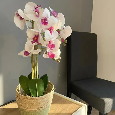 Rueckzugsort Mit Bergblick In Baiersbronn-obertal - Beheizter Wintergarten & Kostenfreier Parkplatz - 70qm *