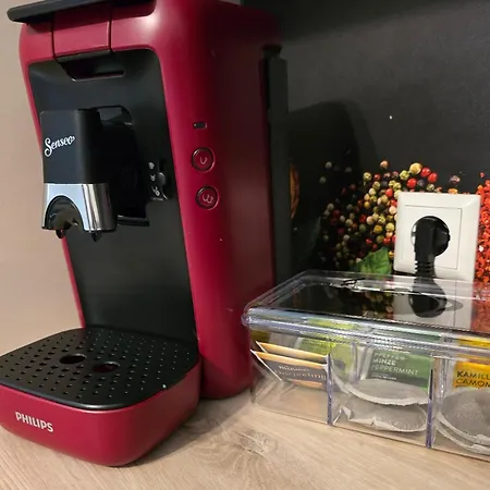 Rueckzugsort Mit Bergblick In Baiersbronn-obertal - Beheizter Wintergarten & Kostenfreier Parkplatz - 70qm * Baiersbronn