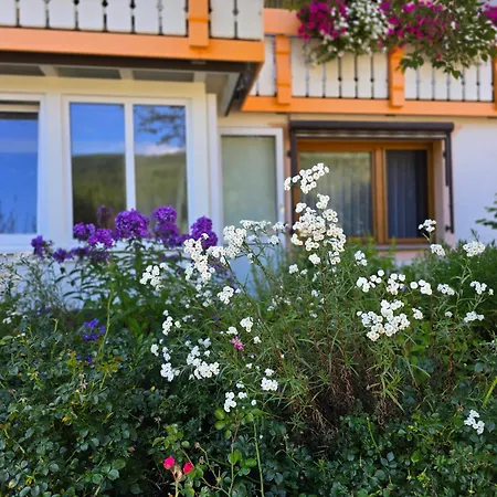 Rueckzugsort Mit Bergblick In Baiersbronn-obertal - Beheizter Wintergarten & Kostenfreier Parkplatz - 70qm