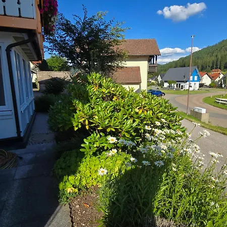 Apartamento Rueckzugsort Mit Bergblick In Baiersbronn-obertal - Beheizter Wintergarten & Kostenfreier Parkplatz - 70qm *