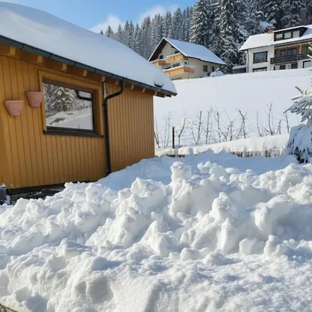 Rueckzugsort Mit Bergblick In Baiersbronn-obertal - Beheizter Wintergarten & Kostenfreier Parkplatz - 70qm * Baiersbronn