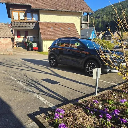 Rueckzugsort Mit Bergblick In Baiersbronn-obertal - Beheizter Wintergarten & Kostenfreier Parkplatz - 70qm Lejlighed *