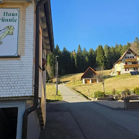 Rueckzugsort Mit Bergblick In Baiersbronn-obertal - Beheizter Wintergarten & Kostenfreier Parkplatz - 70qm