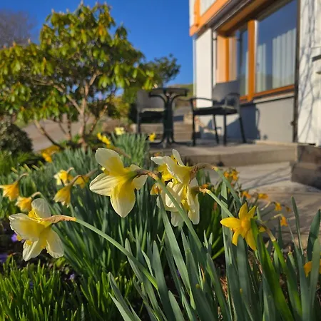 Rueckzugsort Mit Bergblick In Baiersbronn-obertal - Beheizter Wintergarten & Kostenfreier Parkplatz - 70qm * Baiersbronn