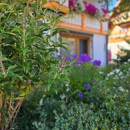 Rueckzugsort Mit Bergblick In Baiersbronn-obertal - Beheizter Wintergarten & Kostenfreier Parkplatz - 70qm Baiersbronn